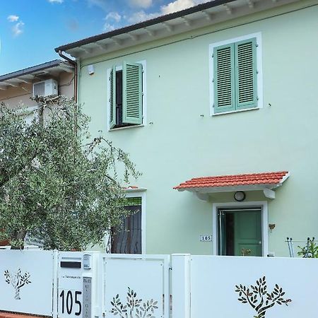 B&B Ulivo Gaio 圣米尼亚托 外观 照片
